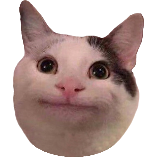 Imagen de un gato hermoso